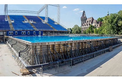 2017年布達佩斯世界游泳錦標賽