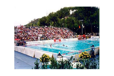 1994年羅馬第七屆FINA世界游泳錦標賽