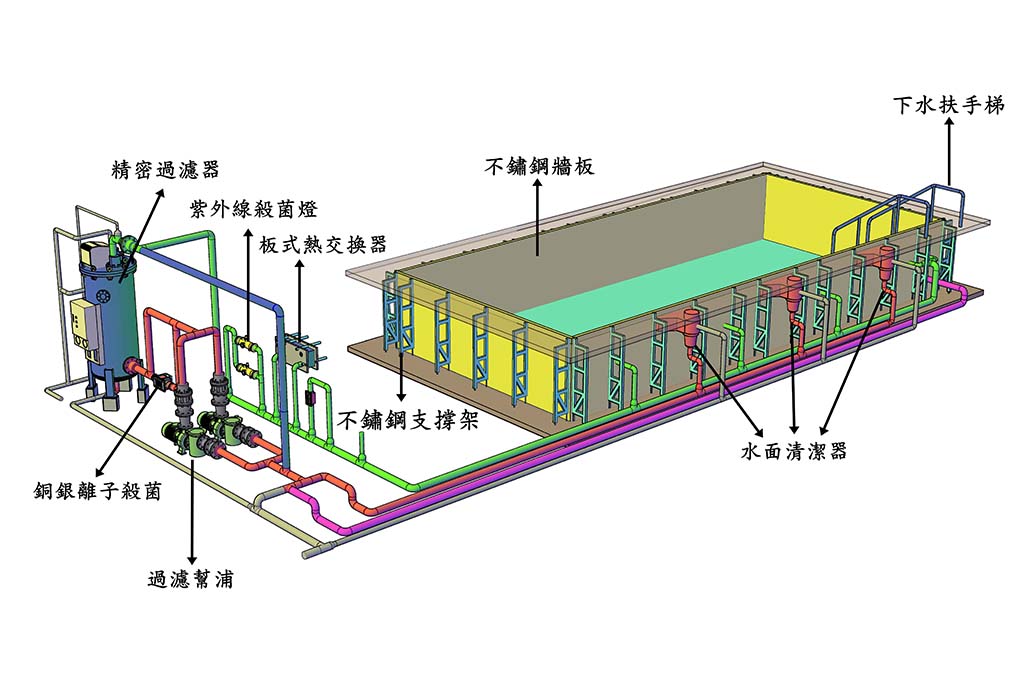 泳池結構3D圖