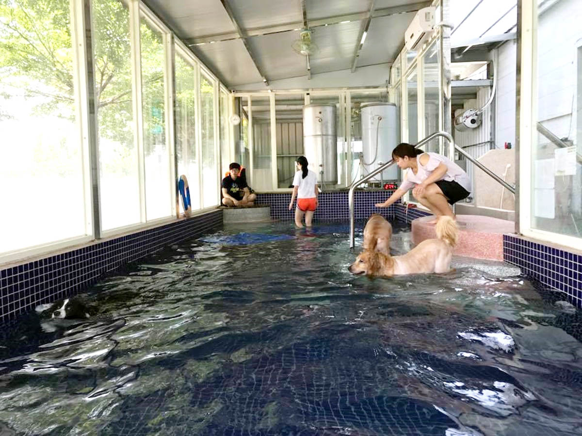 掌旺之星寵物親水會館